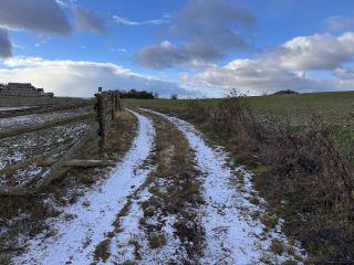 Vyrazil jsem na Diviznu, Pelyněk a Lopuch, aby bylo čím trénovat rozdělávání ohně třením dřev - Handdrill